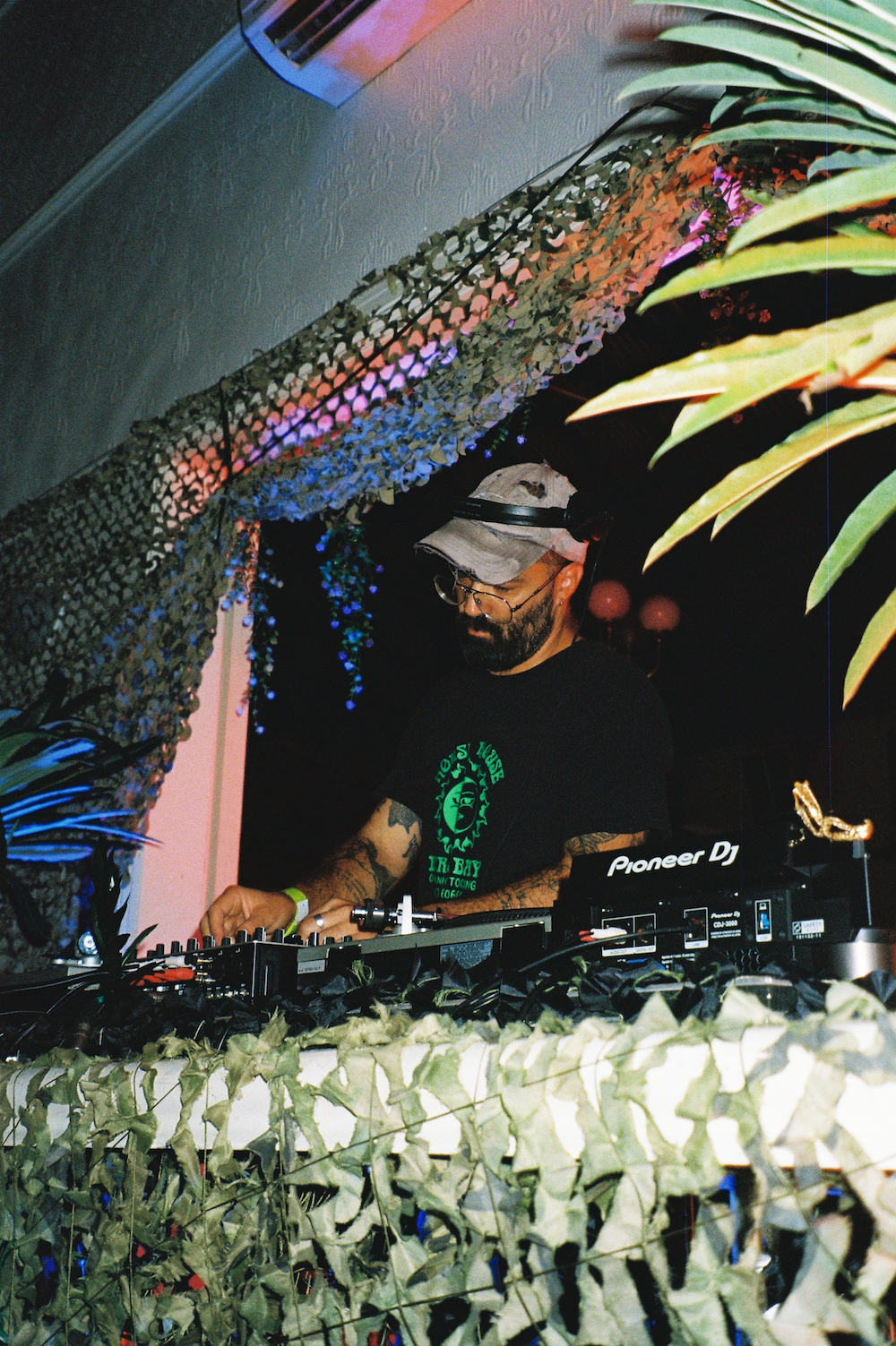 Dingo Balearico